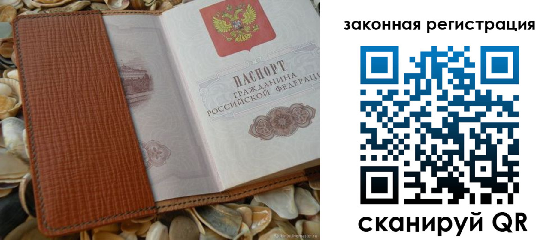 прописка паспорт в Славгороде